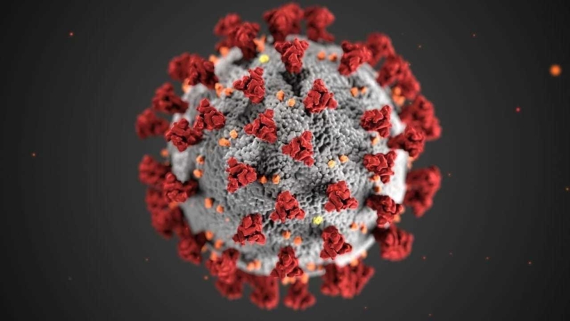 Ausbreitung des Coronavirus - Was wir wissen – und was nicht